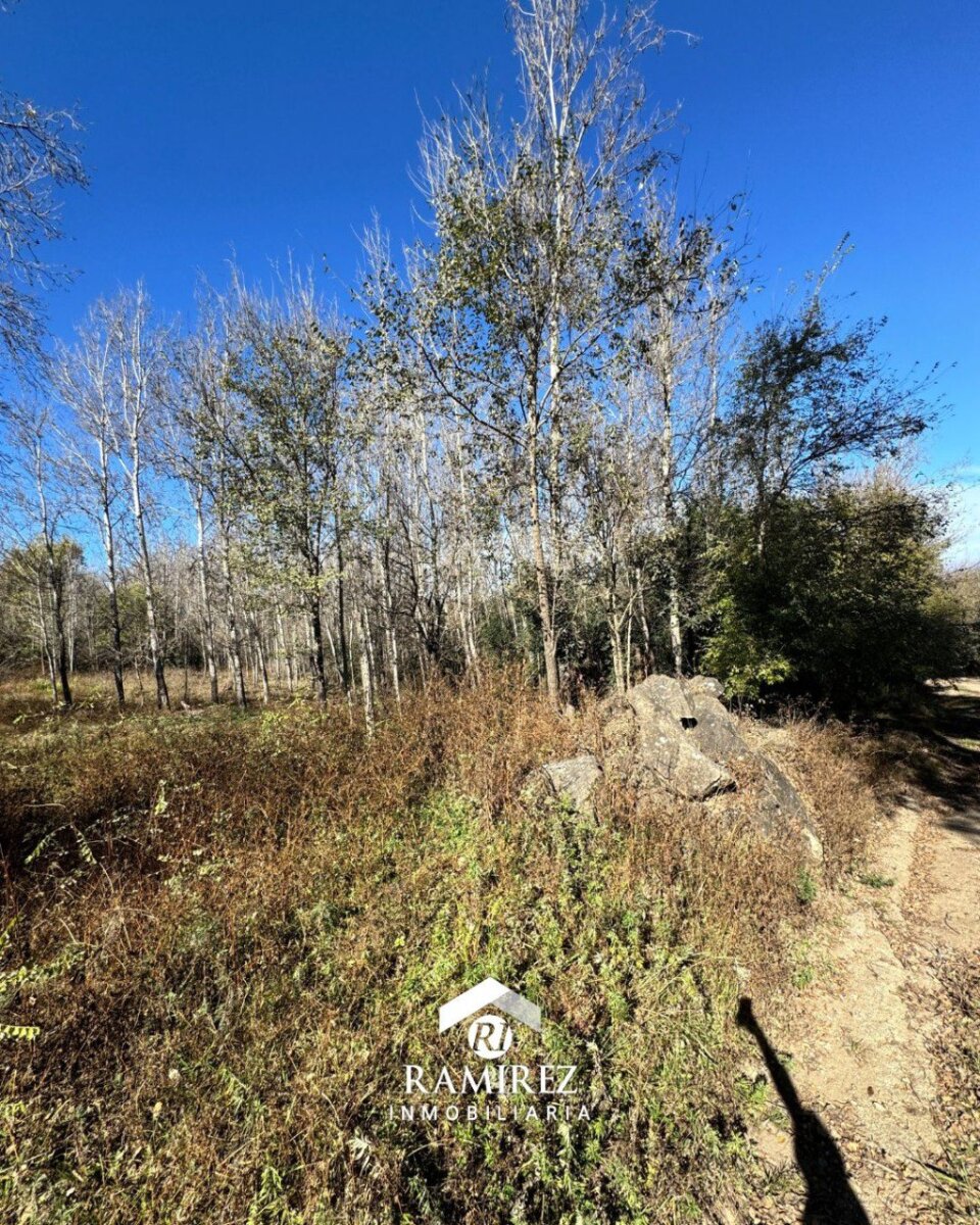 Venta de lote- Villa Yacanto- Cordoba - 5