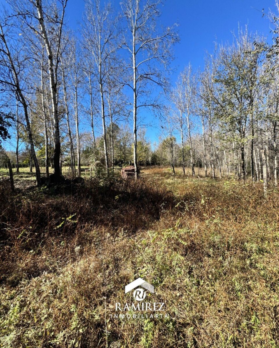 Venta de lote- Villa Yacanto- Cordoba - 4