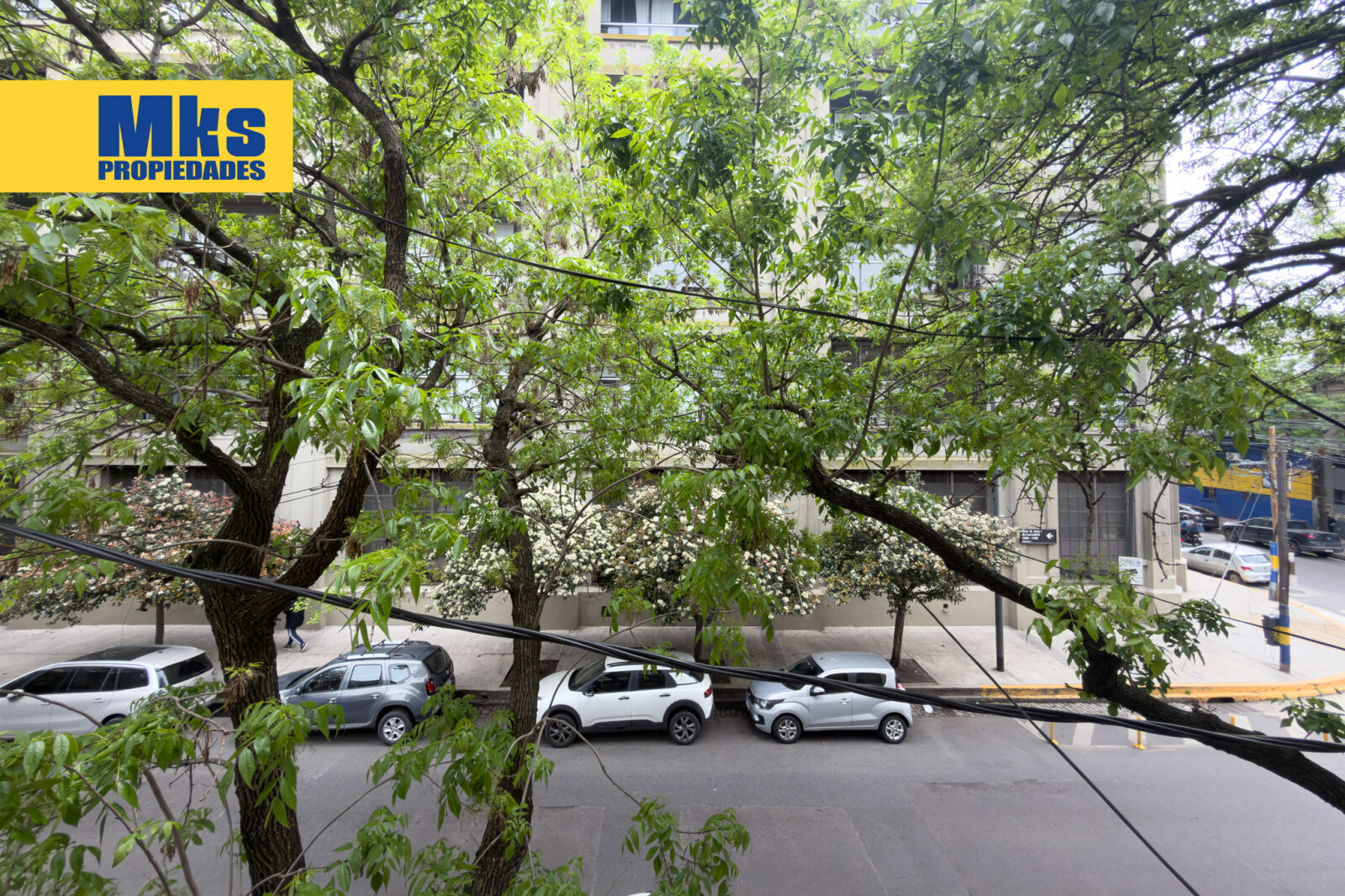 Venta en Block barrio de La Boca. 10 Phs mas local en esquina. Ideal inversion, zona de crecimiento. - 11