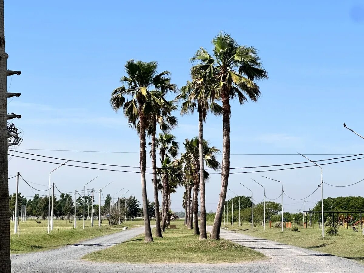 Venta Terreno / Lote Campiñas De Piñero - 9