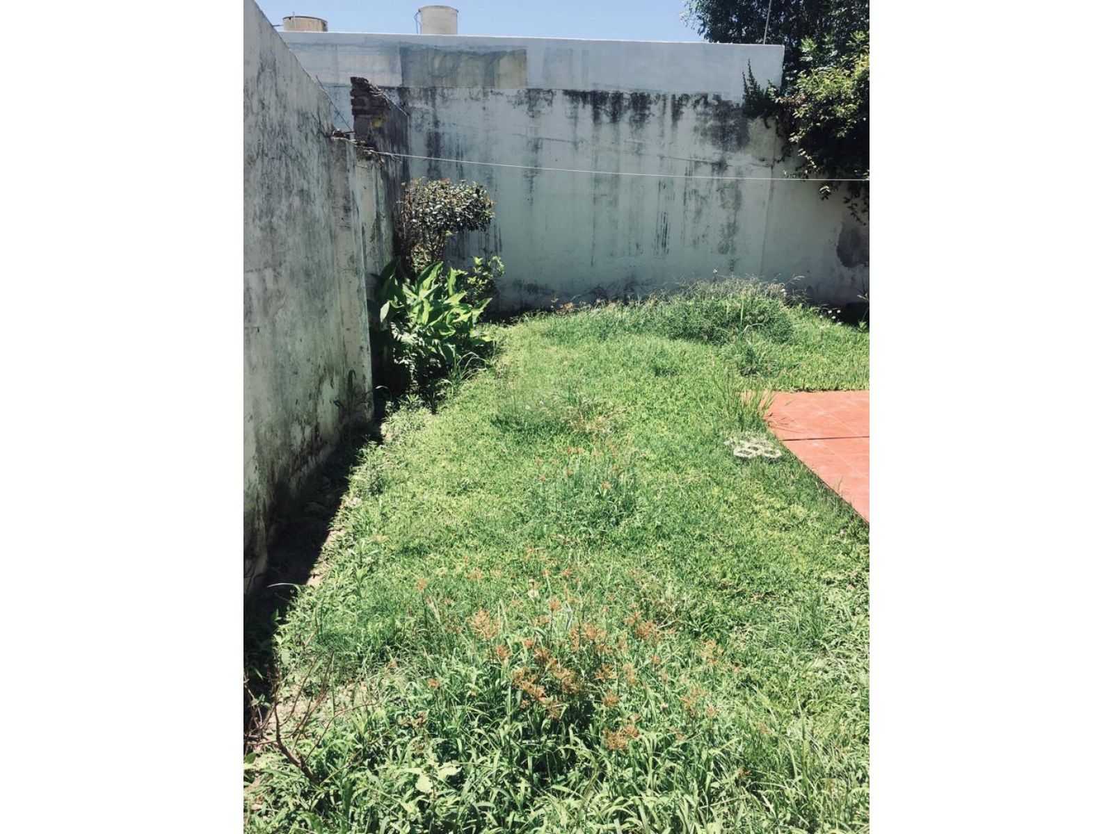 La Florida Río. — foto 8