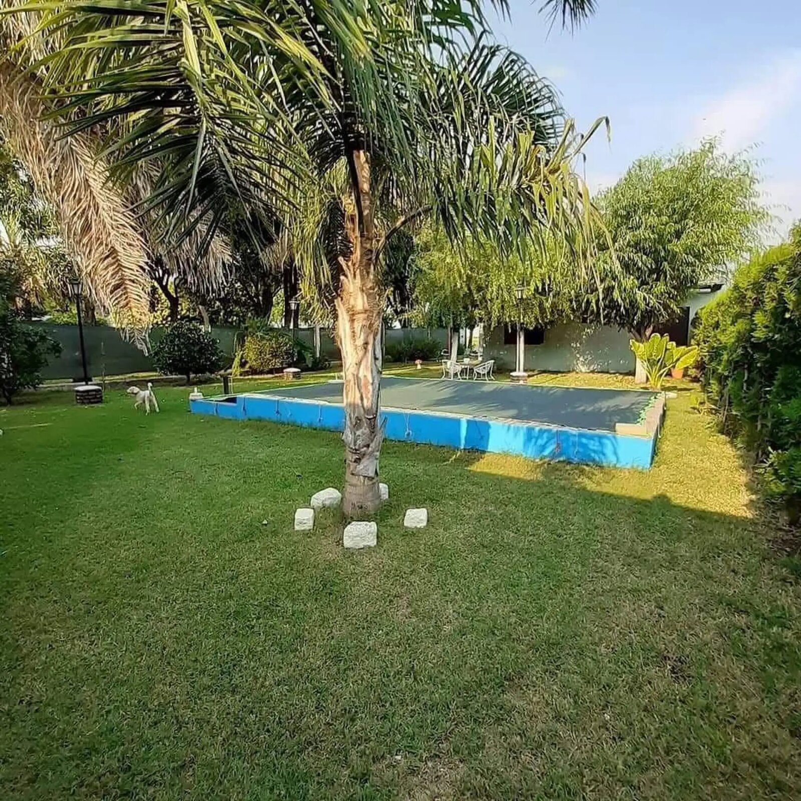 Casa en alquiler con pileta — foto 5