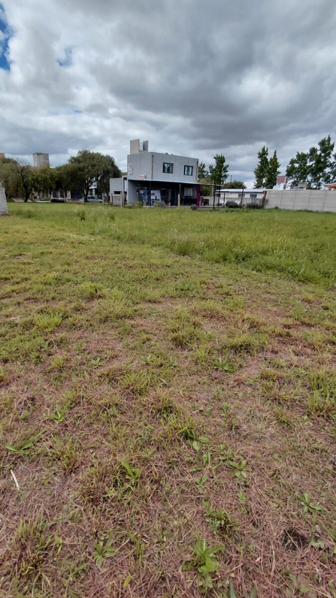 VENTA LOTE ALTOS DE LA COLONIA COLONIA TIROLESA - 8