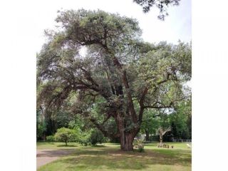 Casas - Arroyo Seco - Venta