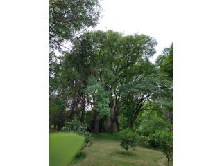 Casas - Arroyo Seco - Venta