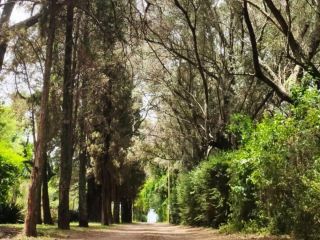 Casas - Arroyo Seco - Venta