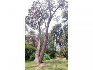 Casas - Arroyo Seco - Venta