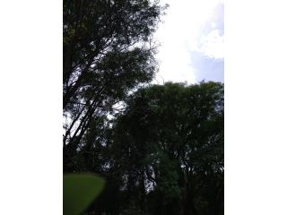 Casas - Arroyo Seco - Venta