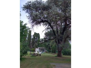 Casas - Arroyo Seco - Venta