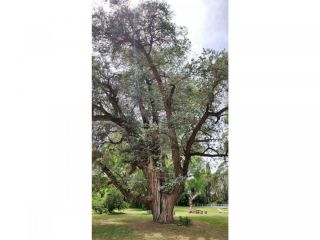 Casas - Arroyo Seco - Venta