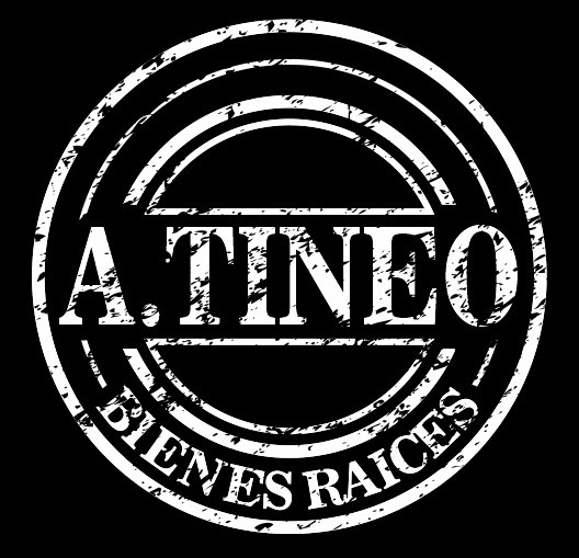 A.Tineo bienes raices